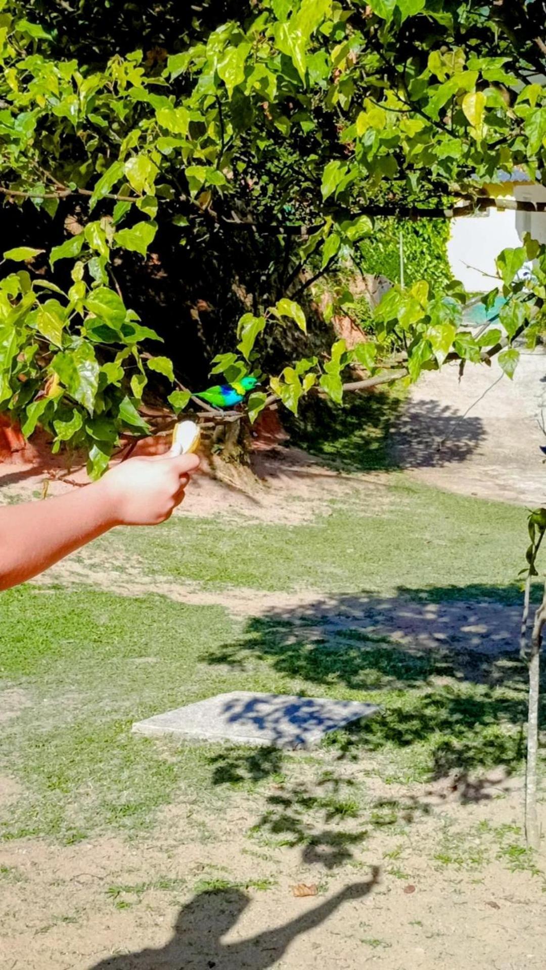 Pousada Casa Da Montanha Sana Exteriér fotografie